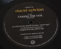 David Sylvian-‎A Little Girl Dreams Of Taking The Veil