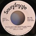 Sally Lynn-The Plant Has Swinging Doors / Truck Driving Debonaire Chick