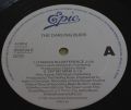 The Darling Buds-Erotica Plays