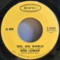 Bob Luman-Come On Home And Sing The Blues To Daddy / Big, Big World