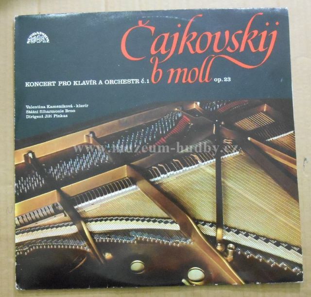 Petr Iljič Čajkovskij