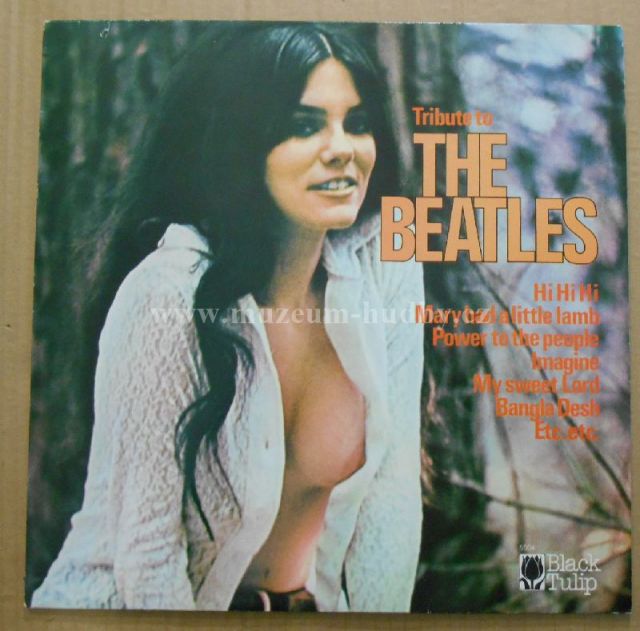 Unknown Artist ‎– Tribute To The Beatles