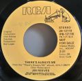 Jim Reeves-There's Always Me