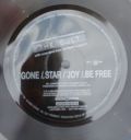 The Cult-Gone / Star / Joy / Be Free