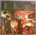 Mandrill-Mandrill