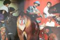Mandrill-Mandrill