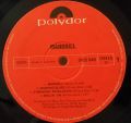 Mandrill-Mandrill