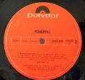 Mandrill-Mandrill