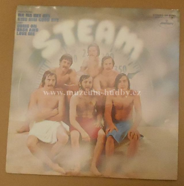 Steam