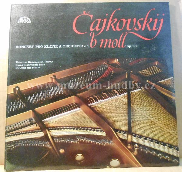 Čajkovskij / Kamenikova / Jiri Pinkas