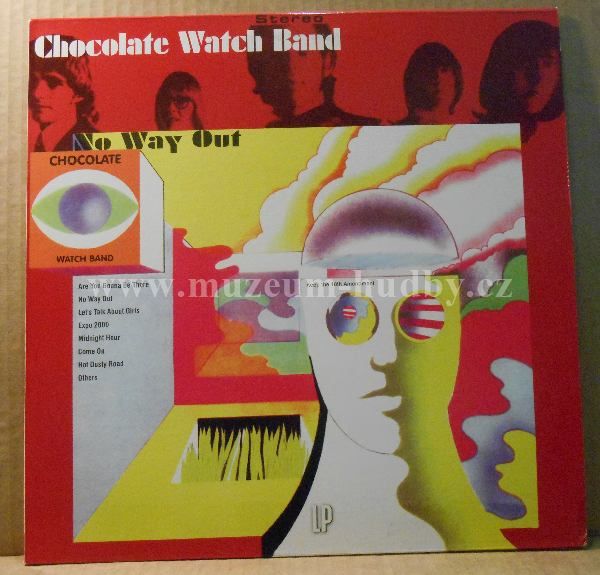 Chocolate Watchband