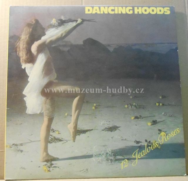 Dancing Hoods