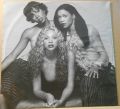 Destiny's Child-Survivor