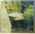 Leaf Hound-Growers Of Mushroom