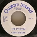 Larry Wright-Diggin Up The Road / It's Up To You