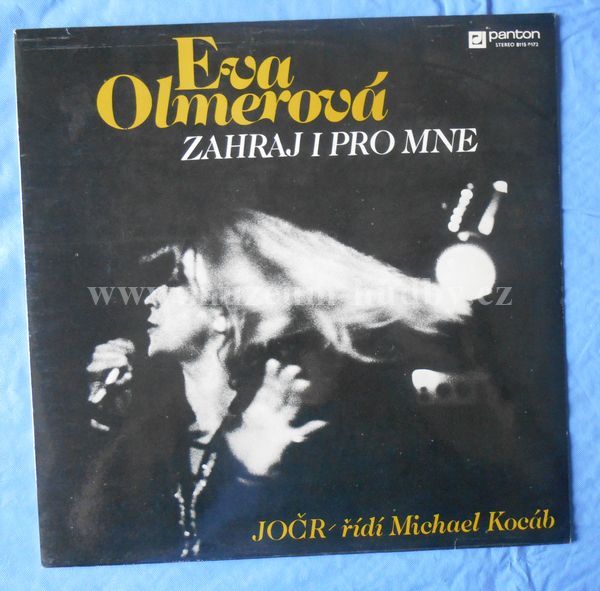 Eva Olmerová, JOČR, Michael Kocáb