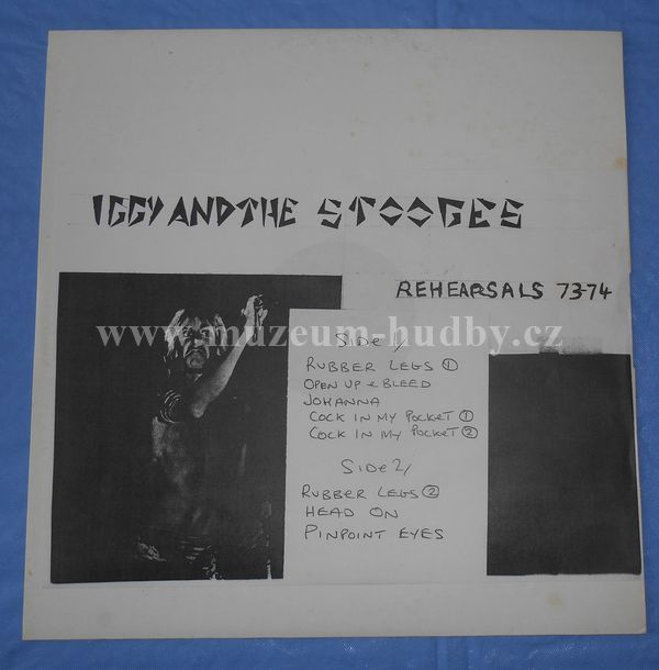 Iggy And The Stooges