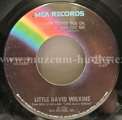 Little David Wilkins