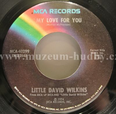 Little David Wilkins