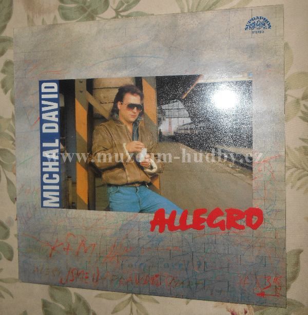 Michal David - Allegro