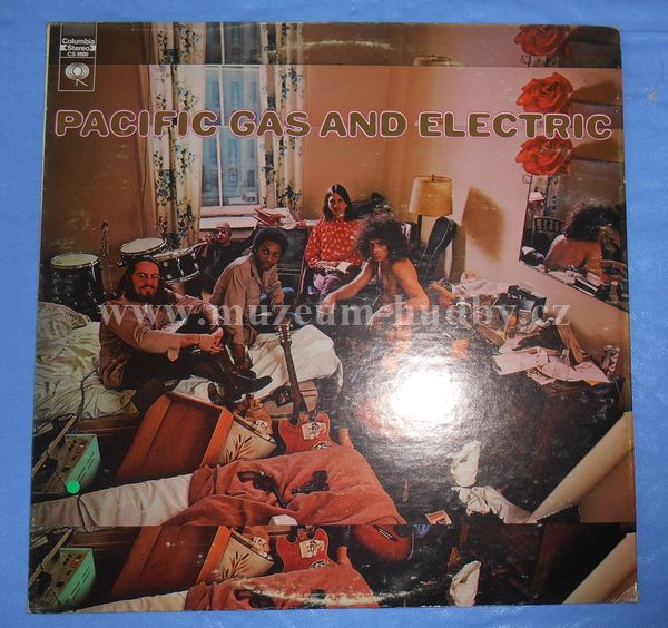 Pacific Gas And Electric