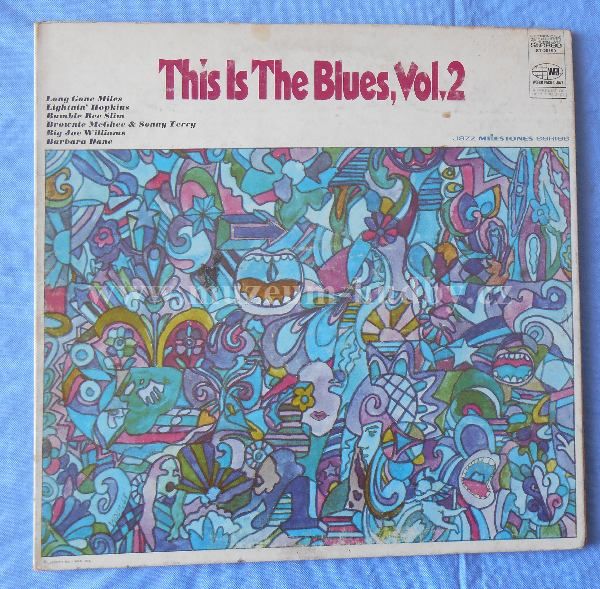 Lightnin' Hopkins / Brownie McGhee & Sonny Terry / Bumble Bee Slim / Long Gone Miles