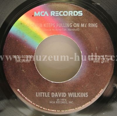 Little David Wilkins