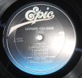 Living Colour-Vivid