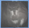 Mandrill-Beast From The East