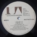 Mandrill-Beast From The East