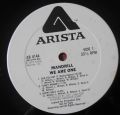 Mandrill-We Are One