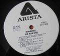 Mandrill-We Are One