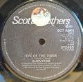 Survivor-Eye Of The Tiger / Take You On A Saturday