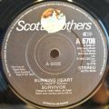 Survivor-Burning Heart / Feels Like Love