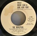 Whispers, The-A Mother For My Children / What More Can A Girl Ask For