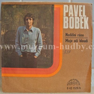 Pavel Bobek, Skupina Františka R. Čecha