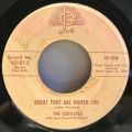 Cadillacs, The-Sugar - Sugar / About That Gal Named Lou