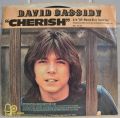 David Cassidy-Cherish / All I Wanna Do Is Touch You
