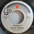 David Cassidy-Cherish / All I Wanna Do Is Touch You