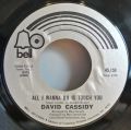 David Cassidy-Cherish / All I Wanna Do Is Touch You