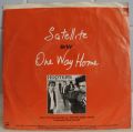 Hooters, The-Satellite
