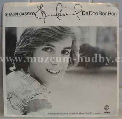 Shaun Cassidy