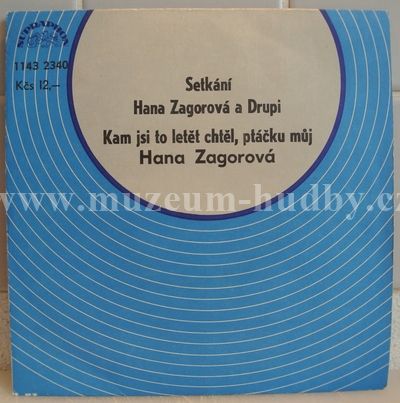 Hana Zagorová & Drupi