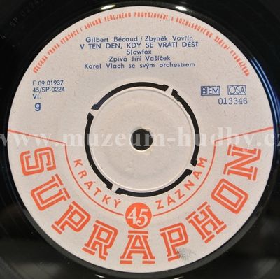 Jiří Vašíček / Vlasta Průchová