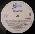 Box Of Frogs-Strange Land