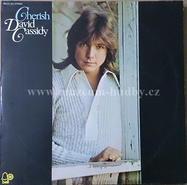David Cassidy