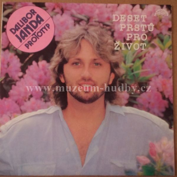 Dalibor Janda, Prototyp