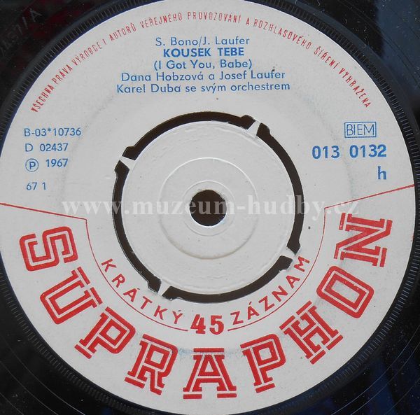 Dana Hobzová a Josef Laufer