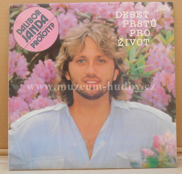 Dalibor Janda, Prototyp