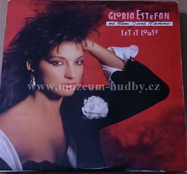 Gloria Estefan And Miami Sound Machine